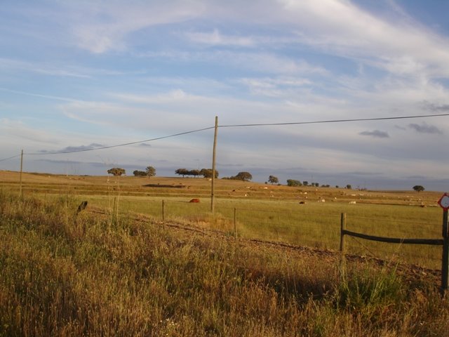 [DSC06780.JPG]