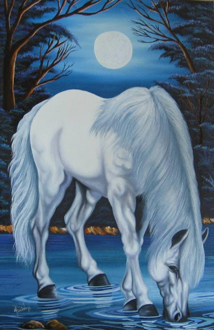 caballo blanco 31     $ 410.000
