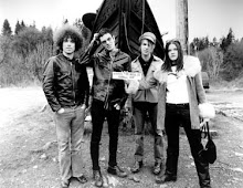 dandy warhols