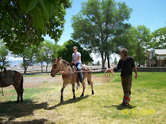 Suzanne on a horse