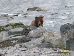 Now he is eating his fish and looking at the people watching him