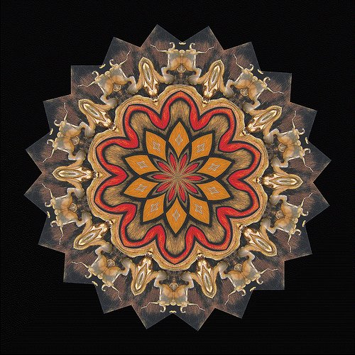 Mandala 1 - available in painting format or print