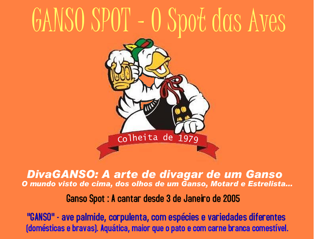 GANSO SPOT: O Spot das Aves