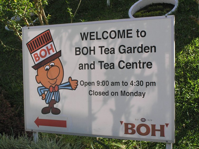 [Boh+tea+sign.JPG]