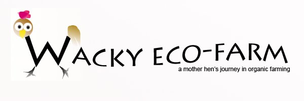 Wacky Eco-farm