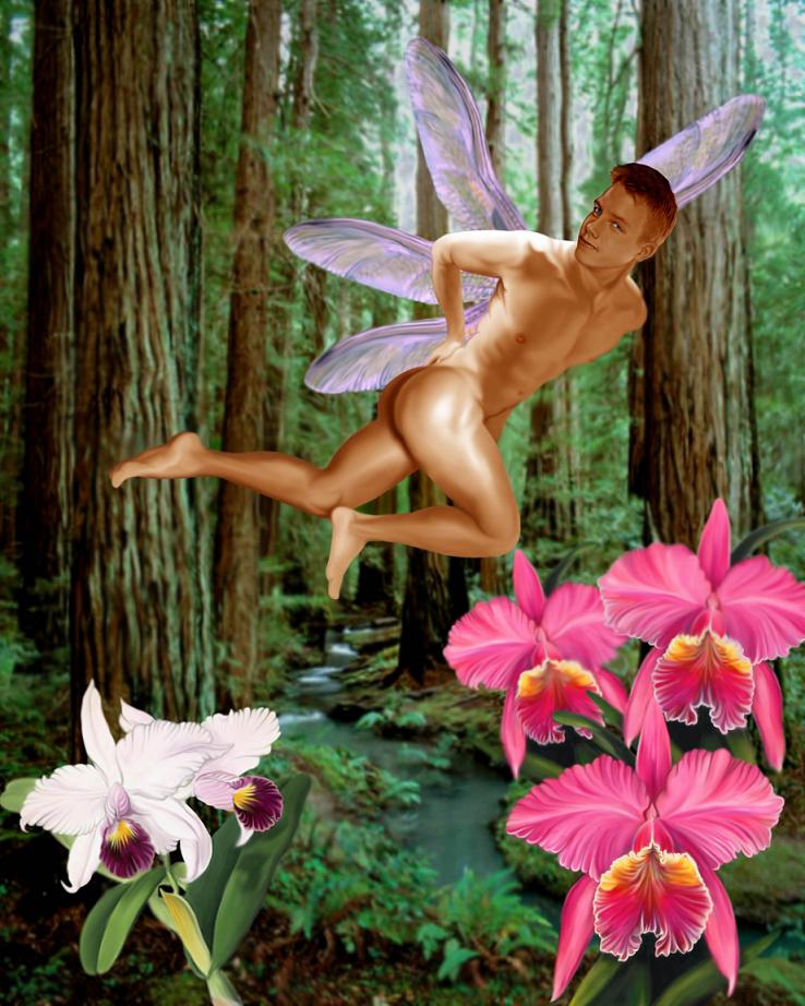 Nude Fairy Men
