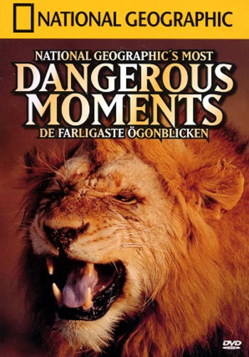 The Dangerous Moment [1921]