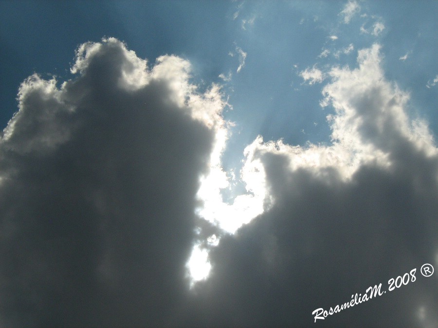 [IMG_1081.jpg]