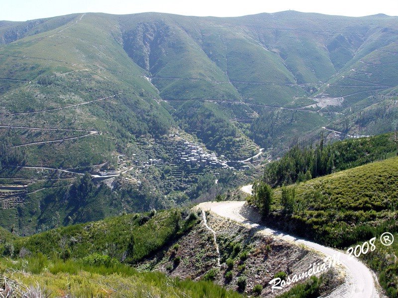 [DSC07676.JPG]