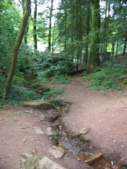 Dans la fôrêt de Brocéliande