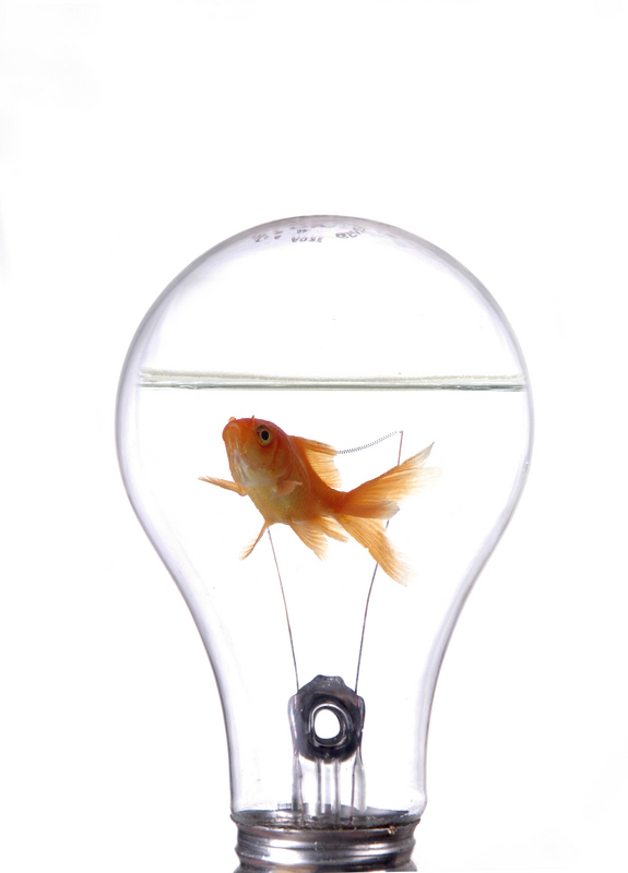 Innovation Business