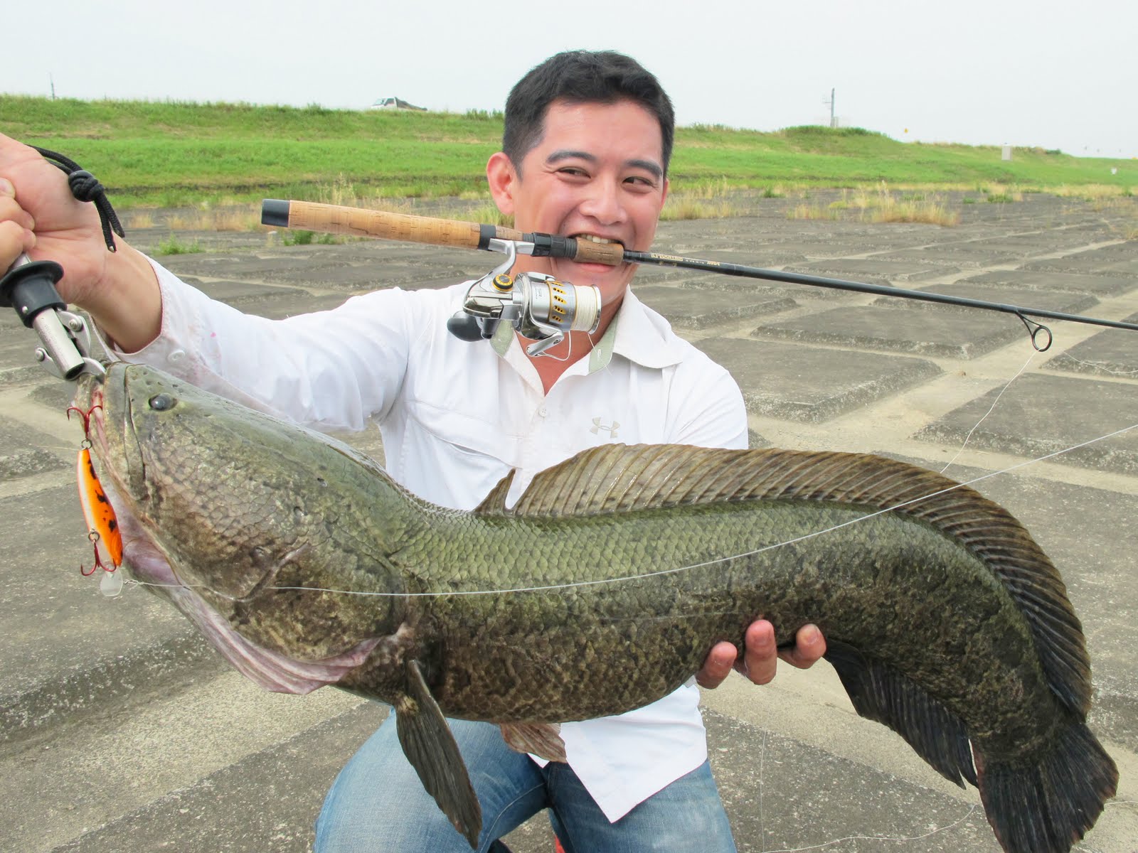 Tackle Source FISHING IN JAPAN FRESHWATER