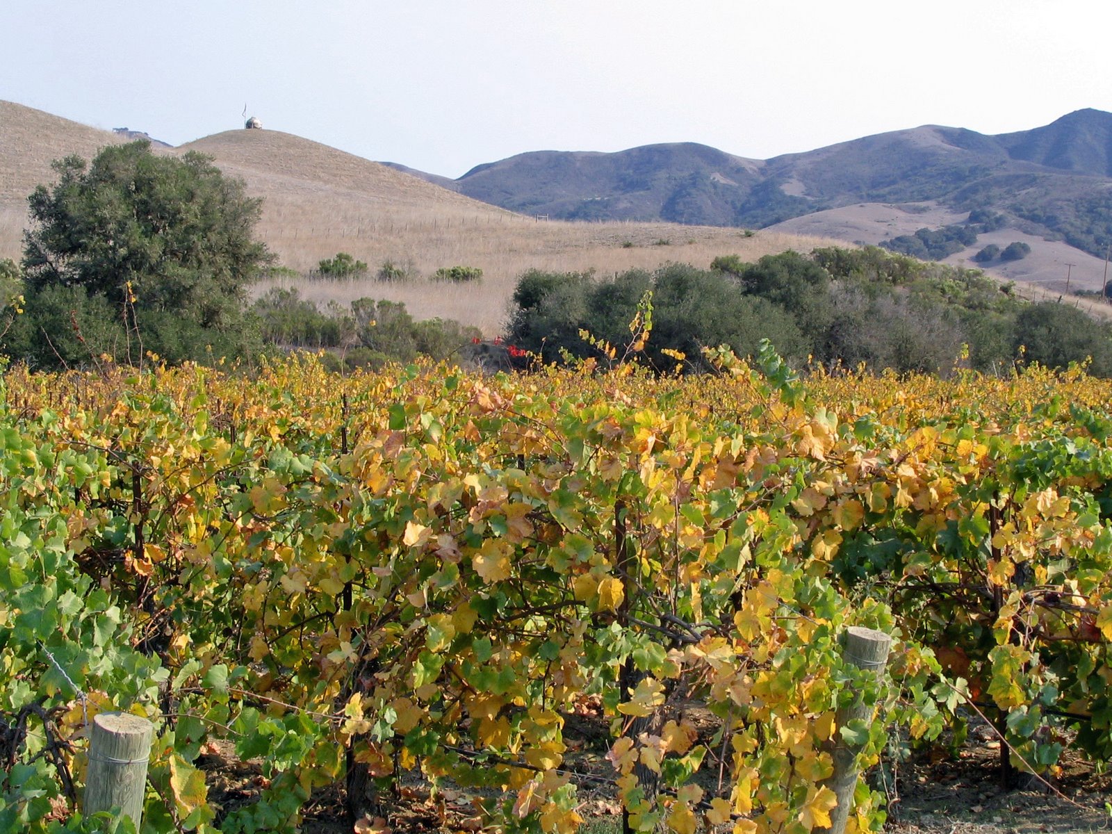 [3octoberwine+003_edited.jpg]