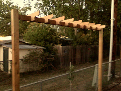 Dorsett Apple, Espalier, gardening, How to, red cedar, Semi Dwarf, South Texas, Support post, Trellis Installing