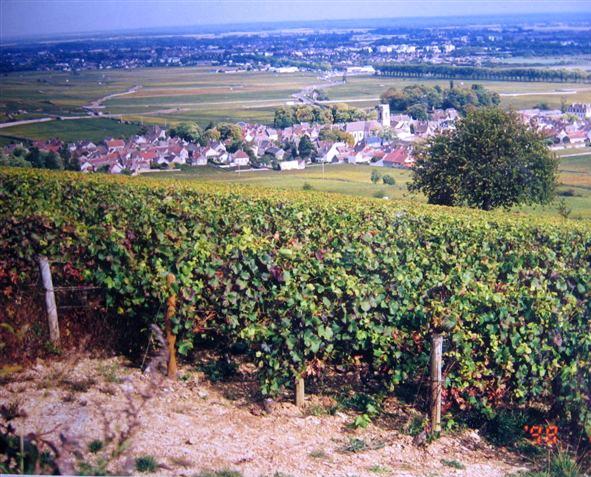 [4+CHAMPAGNE+COUNTRY.jpg]