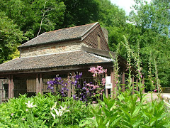 The Mill in early Summer