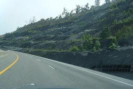 Slate hillsides on the Hal Rogers Parkway