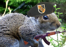 Mr. Squirrel aka The Colonial