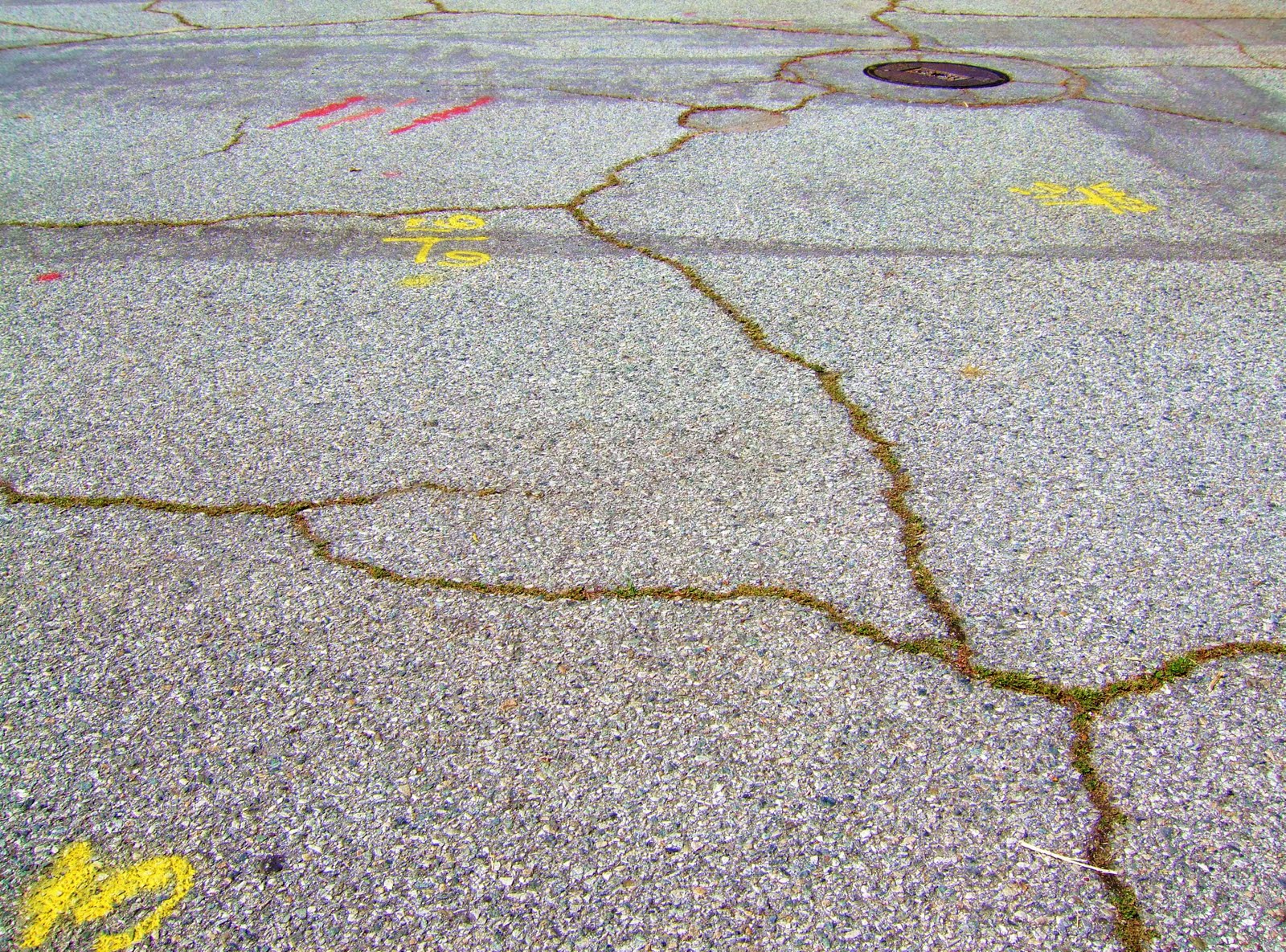 The Cracks In Pavement