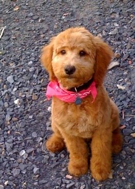 [gagney+clipped.jpg]