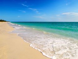 [beach250.jpg]