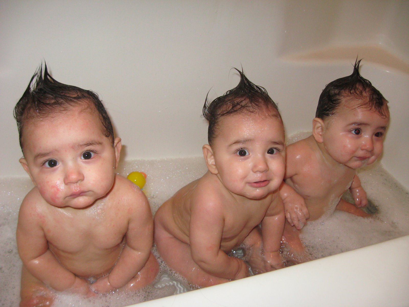 [IMG_3329CDN.JPG]