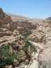 [Wadi+Qelt+Hike.jpg]