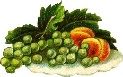 [fruit-plate.jpg]
