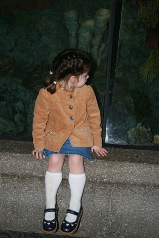 [IMG_0505.JPG]