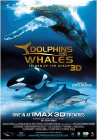 [DolphinsWhales.JPG]