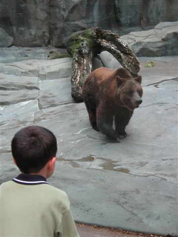 [IMG_1474.JPG]