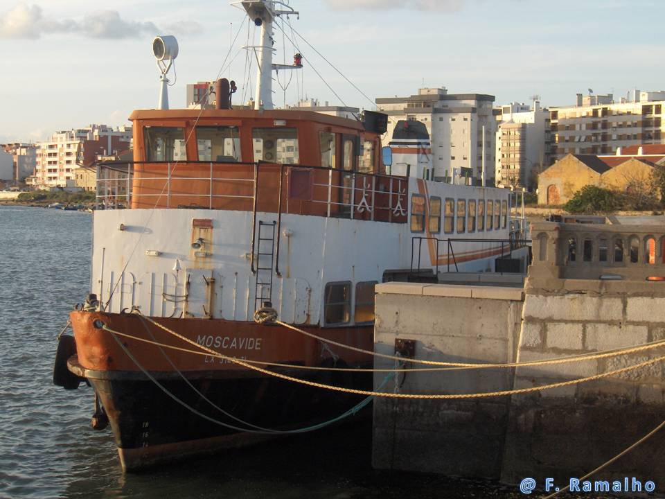 [MOSCAVIDE+(3)_BLOG.JPG]