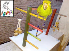 Playground de Maritaca