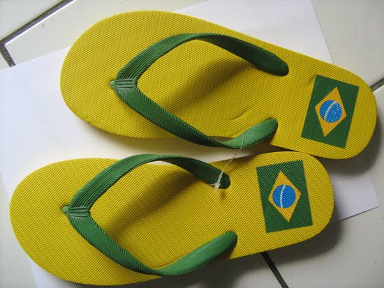 Trip kite brazil