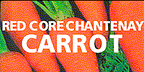 [Bahan+Megfo+-+Red+Core+Carrot.gif]