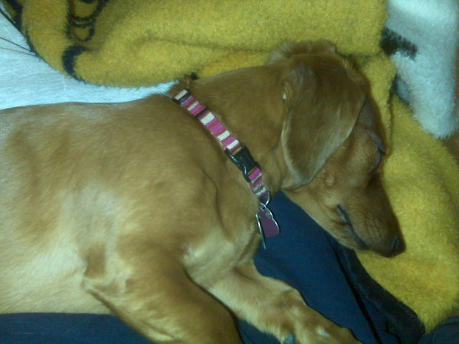 [=?utf-8?B?SU1HMDAyNTYuanBn?=-703602]