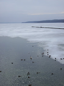 Martin In Broda Februar 2010