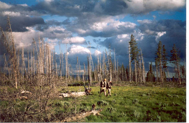 Yellowstone National Park