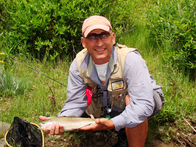 Lake Fork Gunnison