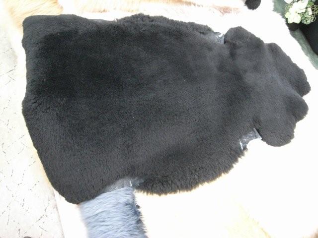 [R1045386.JPG]