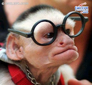 funny-wallpaper-08.jpg