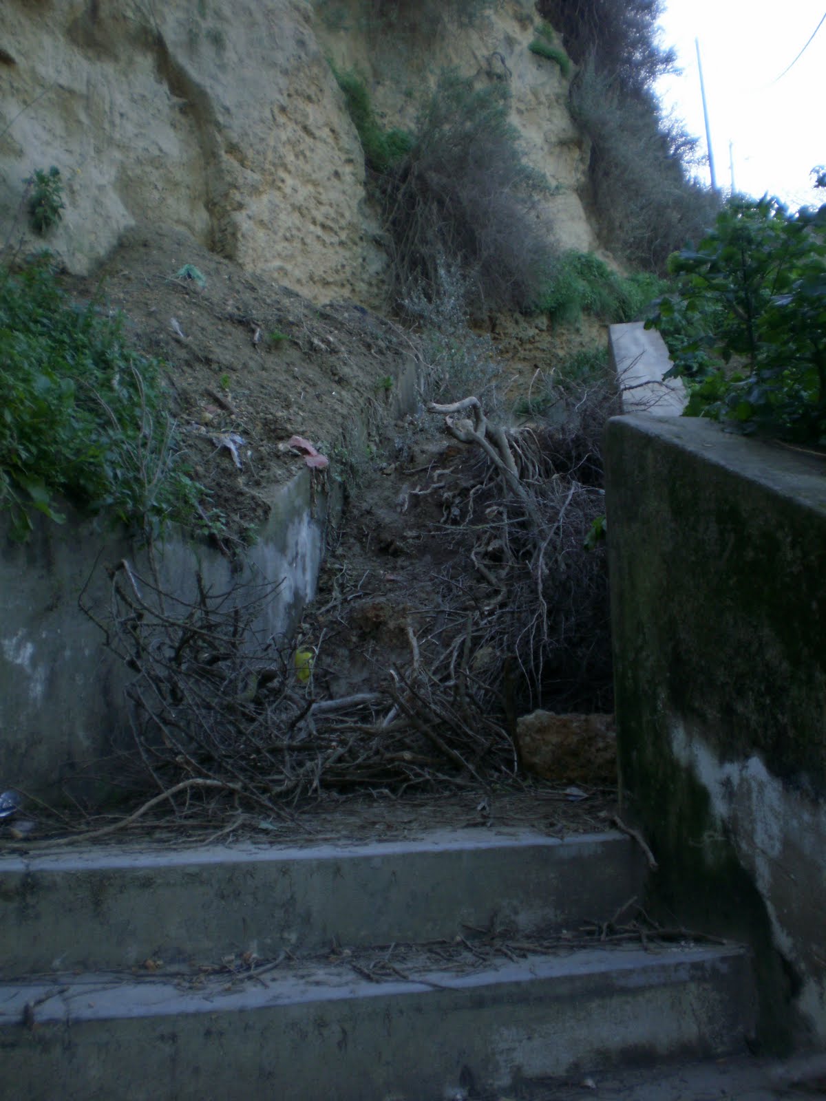 [P2011001.JPG]