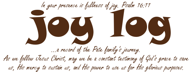 Joy Log