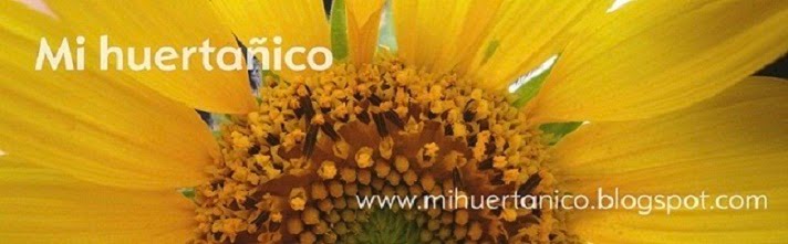 mi huertañico
