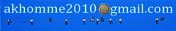 <b>My Contact<br>我的联系<b></b></b>