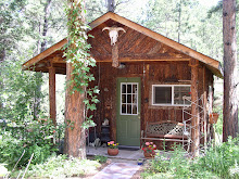 Little Studio in the Forest