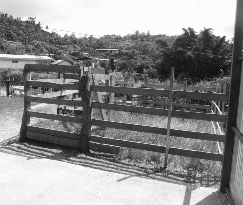 [Copy+of+Dec+15+020.jpg]