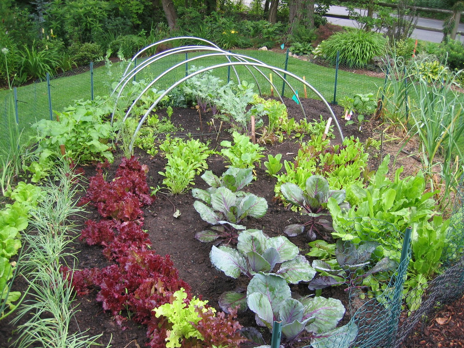 Growing Ideas with Johnny's Selected Seeds Peas please Growing Wisdom