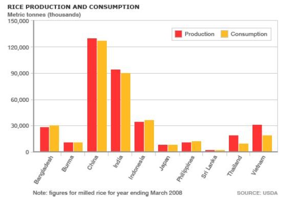 [rice+production.jpg]