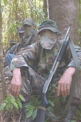 Mexican Guerrilla